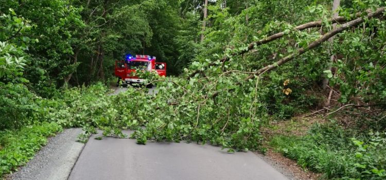 Einsatz 18/2020 „Baum auf Fahrbahn“