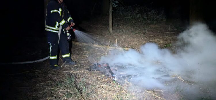 Einsatz 27/2024 „Waldbrand“