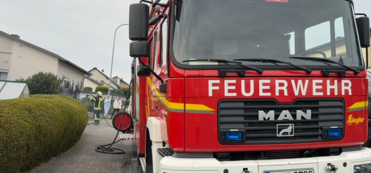 Einsatz 41/2025 „Heckenbrand“
