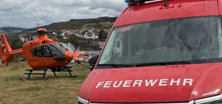Einsatz 61/2026 „Voraus-Helfer Einsatz“